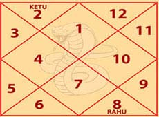Kaalsarp dosh nivaran puja 24 Karkotak kaal sarp dosh