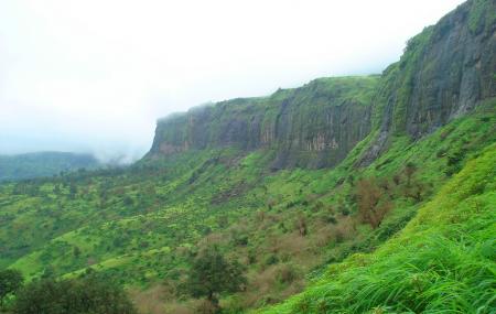 Bramhagiri