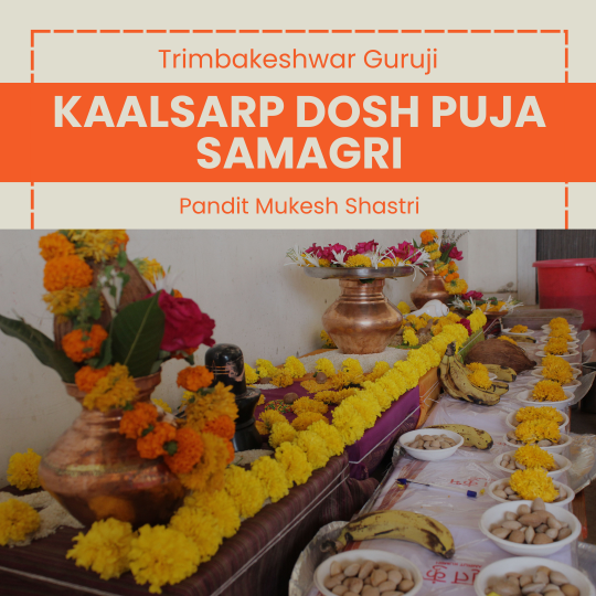 Kaalsarp dosh puja samagri