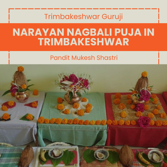 Narayan nagbali puja in trimbakeshwar