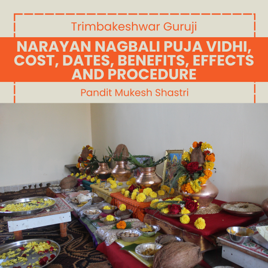 Narayan nagbali puja vidhi