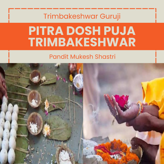 Pitra dosh puja trimbakeshwar