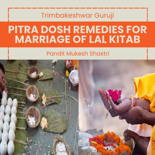 Pitra dosh remedies for marriage of lal kitab