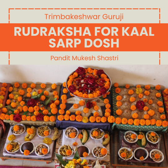 Rudraksha for kaal sarp dosh