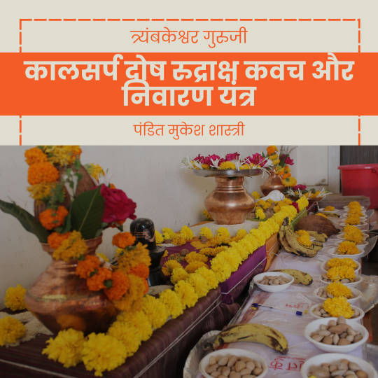 कालसर्प दोष रुद्राक्ष