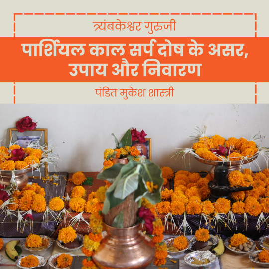 पार्शियल काल सर्प दोष