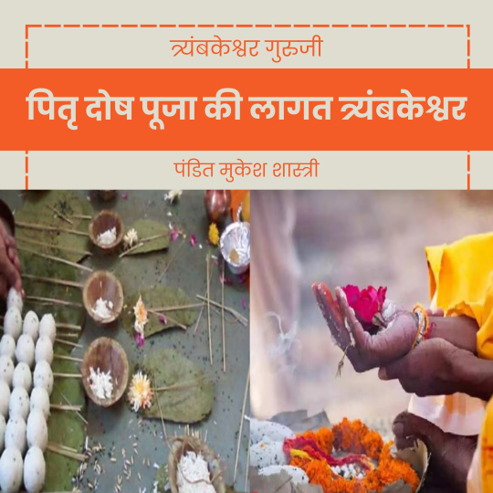 पितृ दोष पूजा की लागत